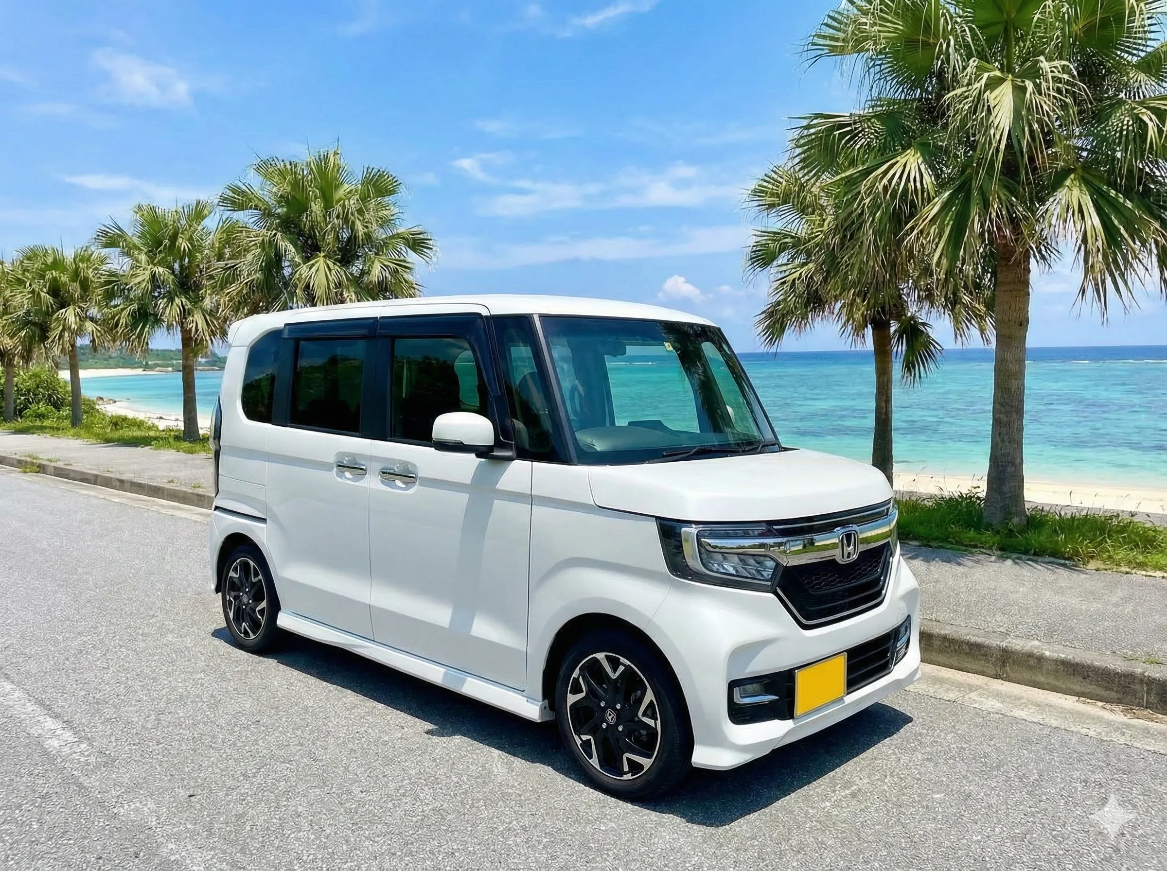 レンタカー付き軽自動車