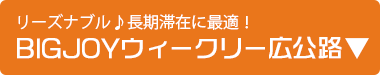 宮古島BigJoyイン広公路